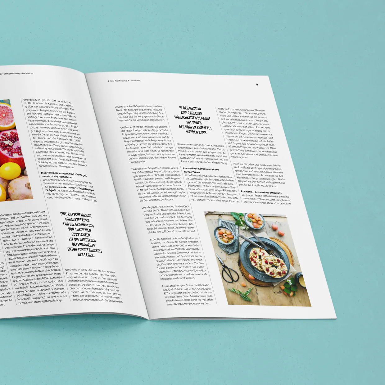 BPA Medizin Verlag GmbH – Reinzeichnung und Gesamtherstellung der Magazinreihe CM Causamedic® sowie aller Sonderpublikationen, Berlin
