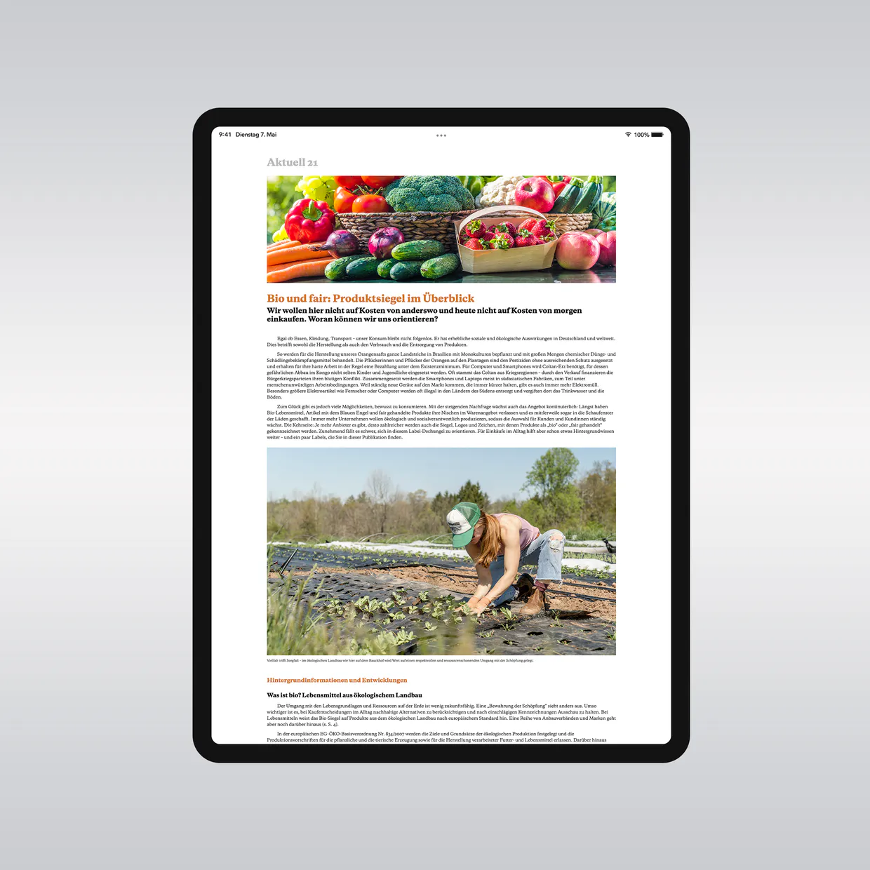 Brot für die Welt – EPUB-Erstellung aus InDesign, reflowable E-Books für Lesegeräte, Mediengestalter Berlin
