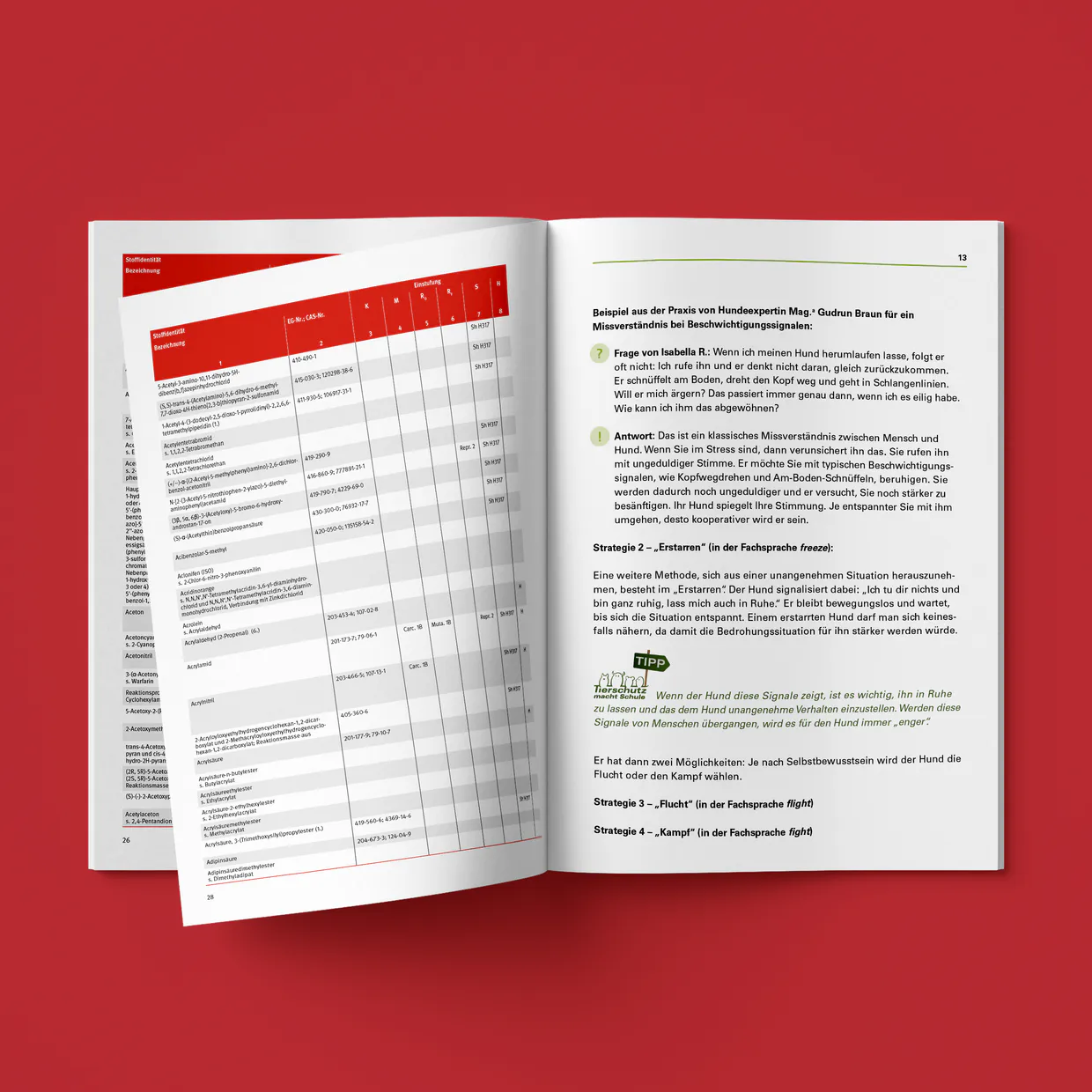 Hauer+Dörfler/Deutsche Gesetzliche Unfallversicherung e.V. (DGUV) – Reinzeichnung des InDesign-Dokuments für den Export und Erstellung eines barrierefreien PDFs.