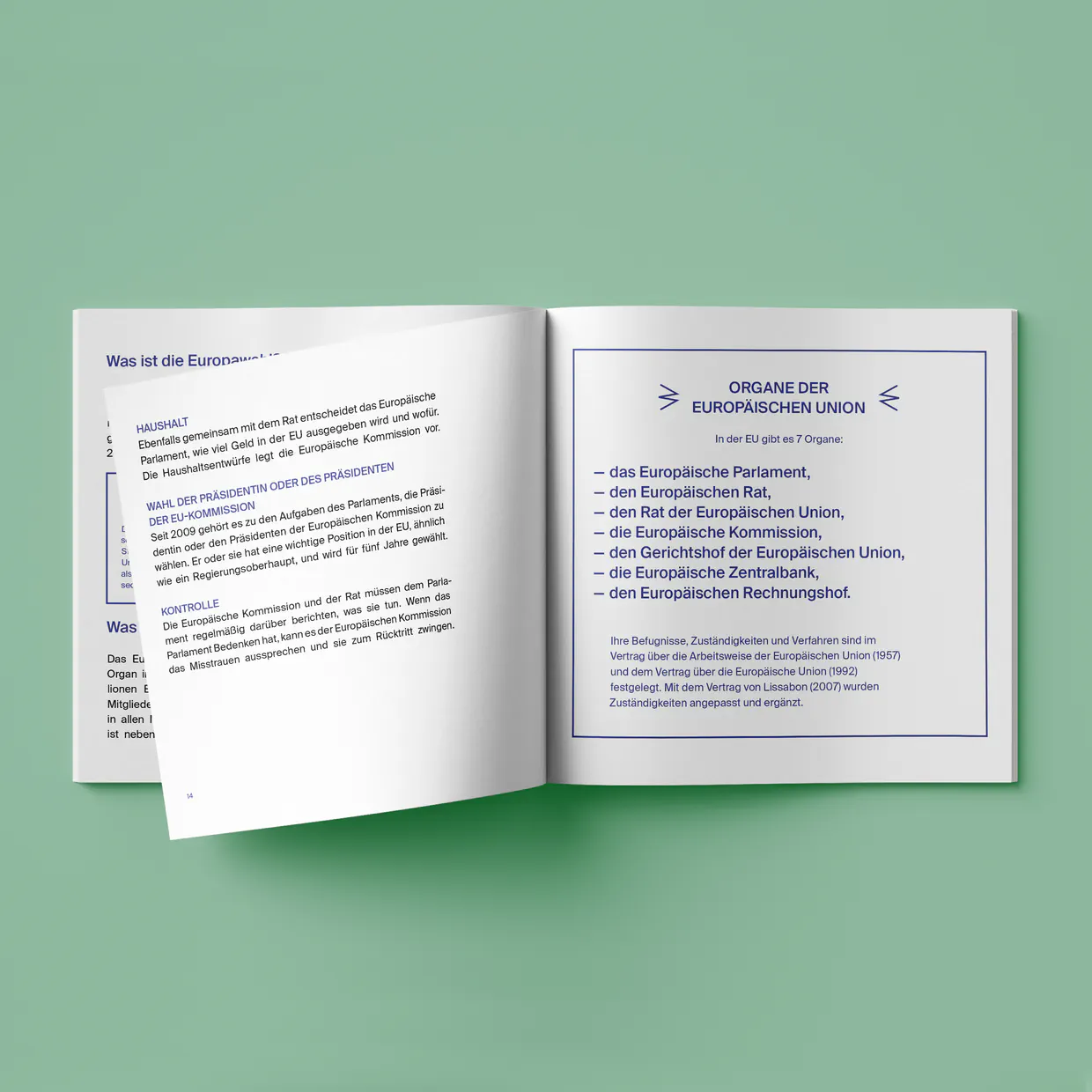 Jennifer Tix-Amrhein, Brandenburgische Landeszentrale – Reinzeichnung und BFSG-konforme PDF/UA-Erstellung, Berlin