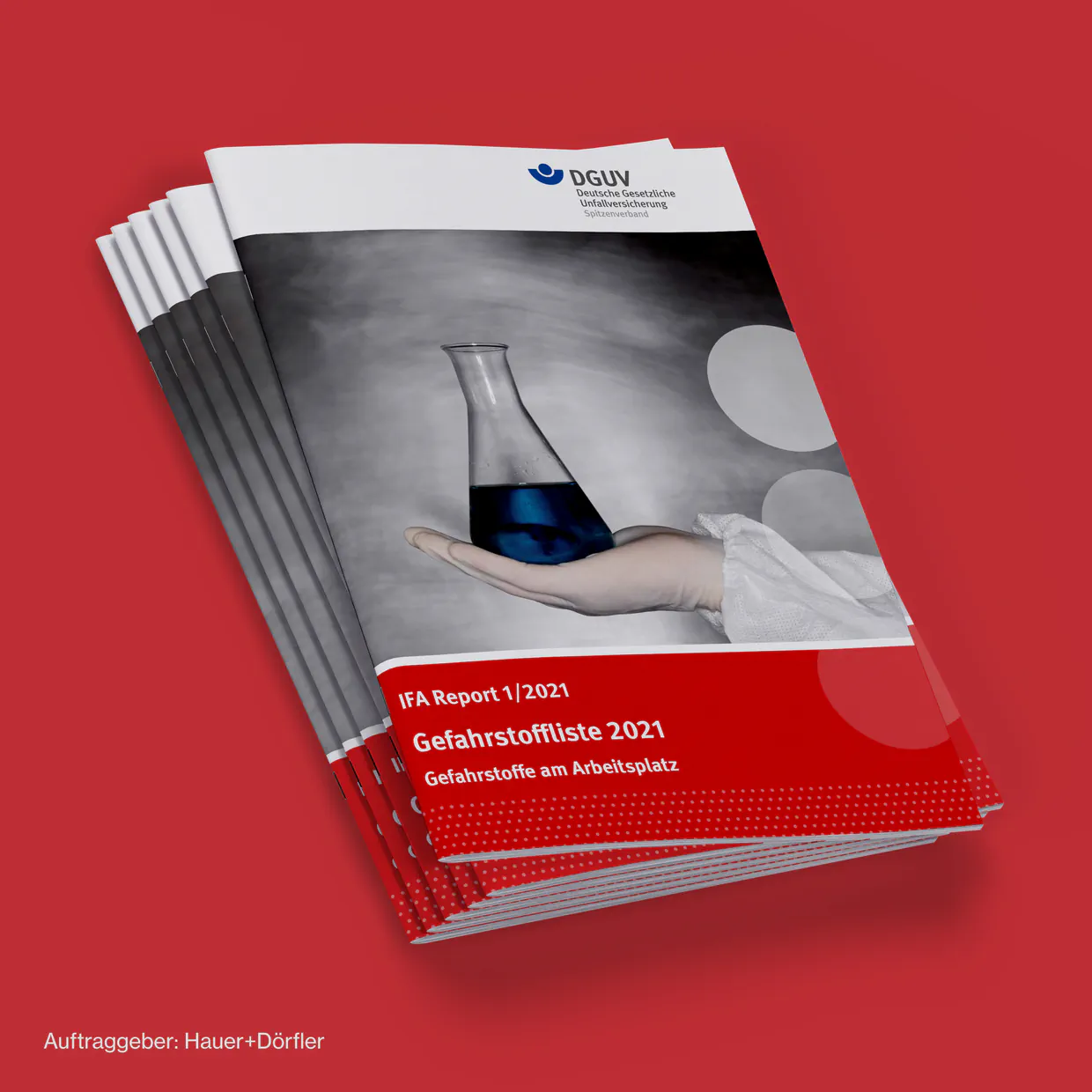 Hauer+Dörfler, DGUV – Reinzeichnung und BFSG-konforme PDF/UA-Erstellung, Mediengestalter Berlin