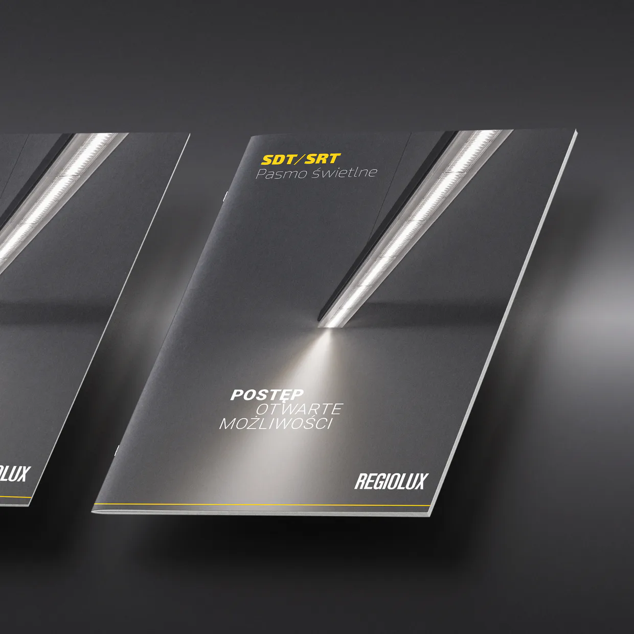 Regiolux GmbH – Produktkatalog, Informationsblatt, Broschüre