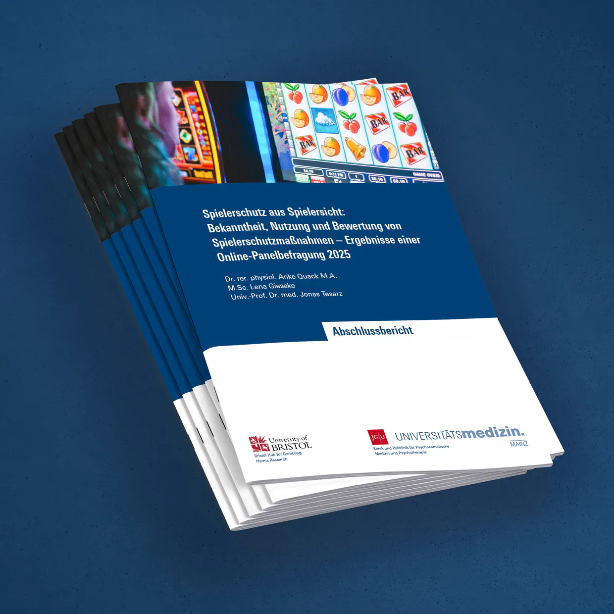 Universitätsmedizin Mainz – Gesamtherstellung eines Abschlussberichts: Layout, Satz, Reinzeichnung und barrierefreie PDF/UA-Erstellung, Mediengestalter Berlin