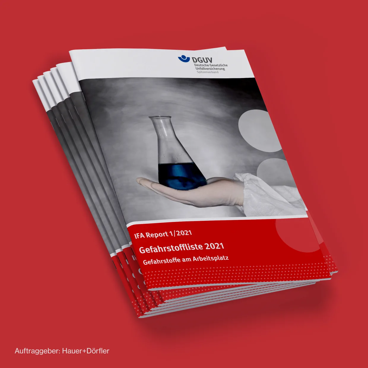 Hauer+Dörfler, DGUV – prepress artwork and BFSG-compliant PDF/UA creation, media designer Berlin