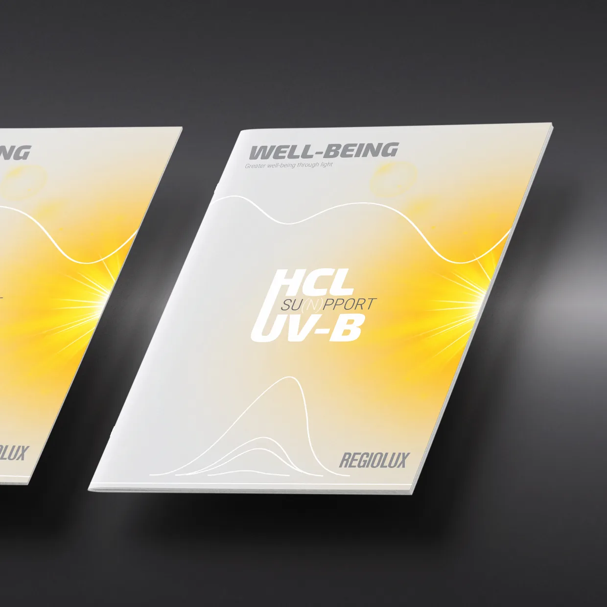 Regiolux GmbH – prepress artwork of multilingual brochures and information sheets, prepress for offset printing, Berlin